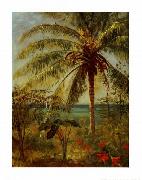 Albert Bierstadt Palm Tree, Nassau by Albert Bierstadt oil painting reproduction